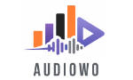 audiowo logo small